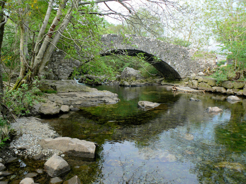 Doctor Bridge Doctor Bridge